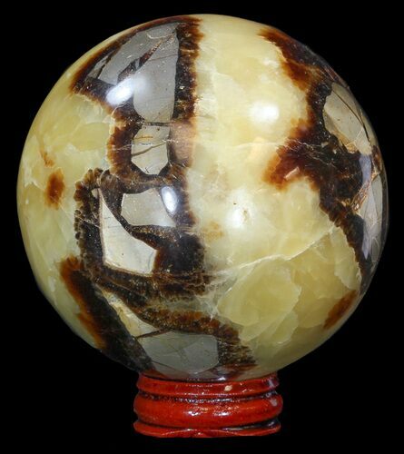 Polished Septarian Sphere - With Stand #43868